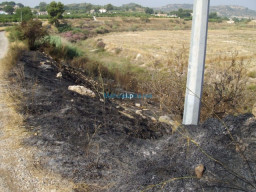 Fotos Noticias 2010